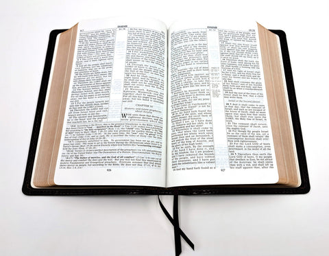 Bible Baptist Bookstore: (Slightly smaller) Handsize Ruckman Reference Bible