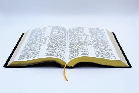 The Old Scofield Study Bible: Large Print Edition (1917 Notes) (more options available)
