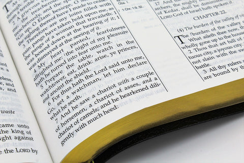 The Old Scofield Study Bible: Large Print Edition (1917 Notes) (more options available)