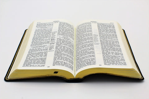 The Old Scofield Study Bible: Classic Edition (1917 Notes) (more options available)