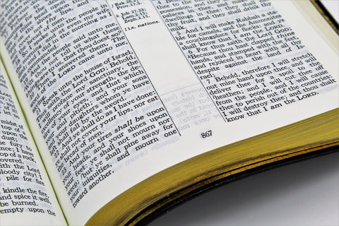 The Old Scofield Study Bible: Classic Edition (1917 Notes) (more options available)
