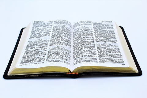 Cambridge Bible: Emerald Text Edition (more options available)