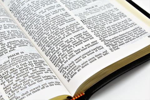 Cambridge Bible: Emerald Text Edition (more options available)