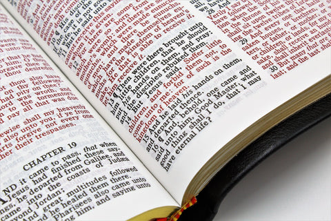Cambridge Bible: Emerald Text Edition (more options available)