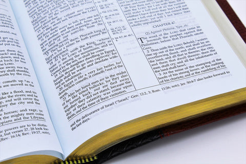 The Old Scofield Study Bible:  Pocket Edition (1917 Notes) (more options available)