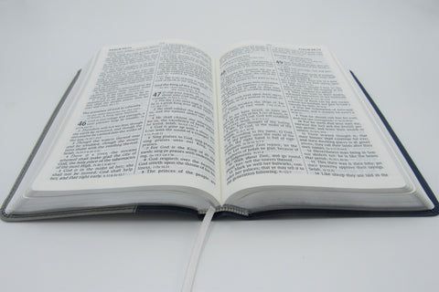 Hendrickson Bible: Personal Size Giant Print Reference Bible (Lavender & Purple)