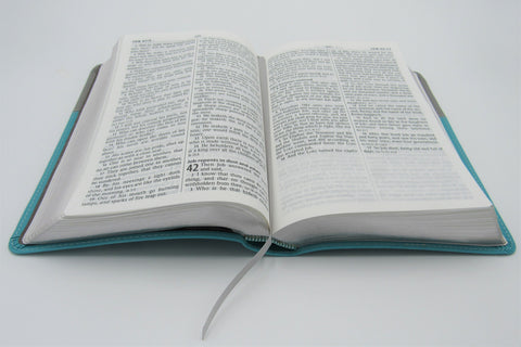 Hendrickson Bible: Personal Size Giant Print Reference Bible (Gray on Turquoise)