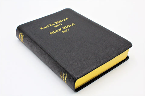 Spanish and English: Reina-Valera Gomez 2010 Bilingual Bible - Black Softcover