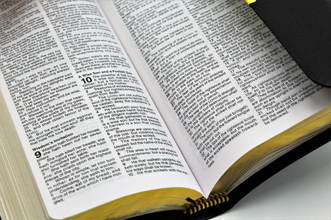 Thomas Nelson Bible: Checkbook Bible (more options available)