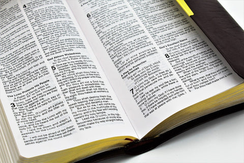 Thomas Nelson Bible: Checkbook Bible (more options available)