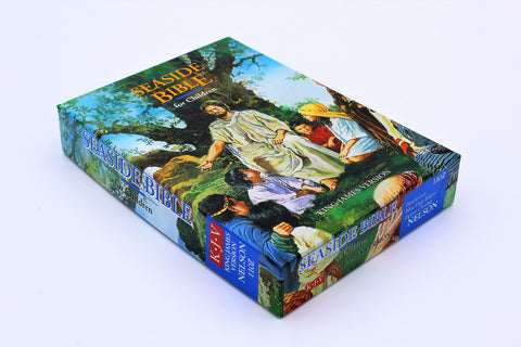 Thomas Nelson Bible:  Seaside Bible for Children - Hardcover Zipper
