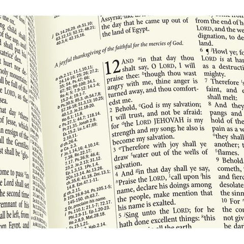 Trinitarian Bible Society: Westminster Reference Bible