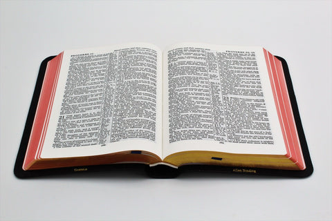 Allan Oxford Bible: Ruby Reference Edition Bible #112