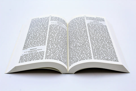 Hendrickson Bible: Large Print Bible