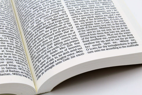 Hendrickson Bible: Large Print Bible