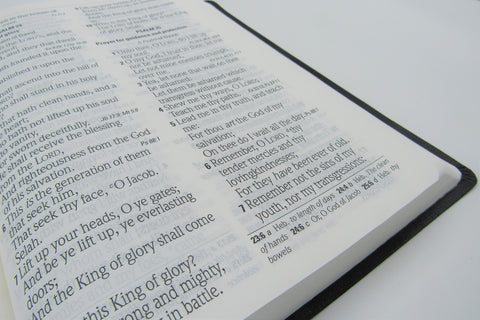 Hendrickson Bible: Super Giant Print Reference Bible