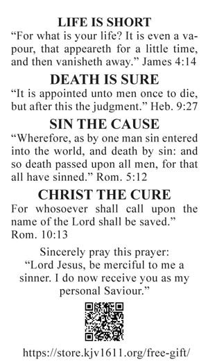 Sin, Sins, Sinners - Business Card Tract (100 count)