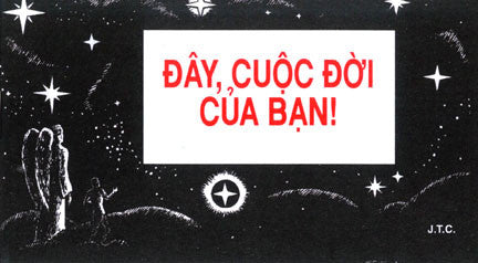 Vietnamese: This Was Your Life - Tract