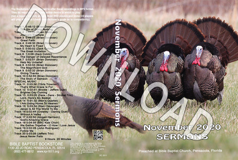 November 2020 Sermons  - Downloadable MP3