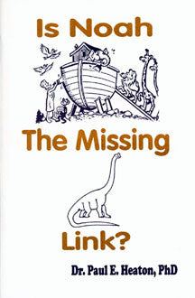Is Noah the Missing Link?