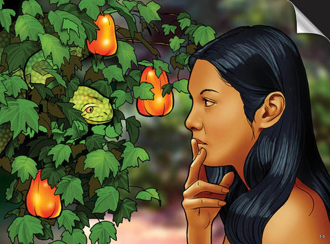 The Wordless Book Visualized (options available)