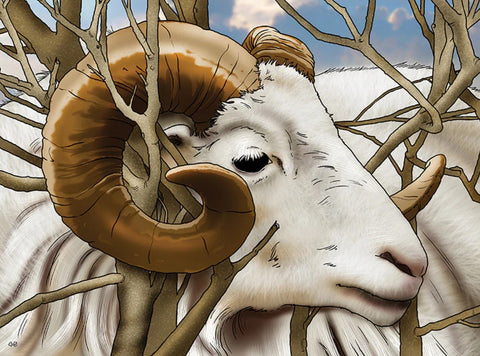 The Patriarchs: God's Plan Unfolds (options available)