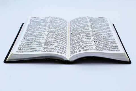 Hendrickson Bible: Large Print Thinline Reference Bible Flexisoft Black
