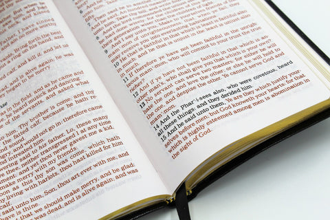 Holman: Personal Evangelism New Testament