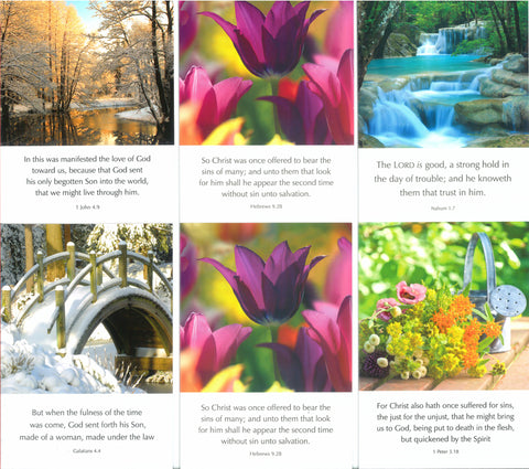 Greeting Cards: Blank L-Series (6-Pack)