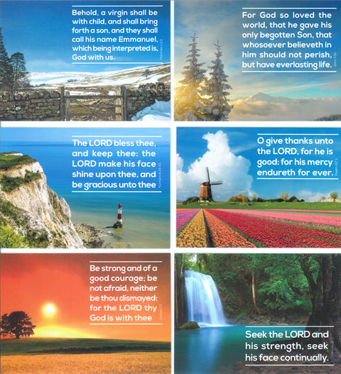 Greeting Cards: Blank P-Series (6-Pack)