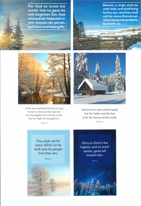 Greeting Cards: Blank W-Series (6-Pack)