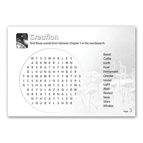 A Selection of Puzzles on Genesis