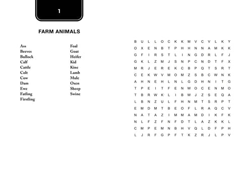 Big Bible Word Search