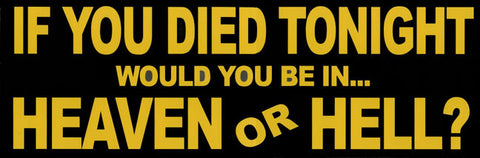 If You Died - Small Reflective Magnet