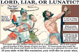 Lord, Liar, Lunatic - Banner (more sizes available)
