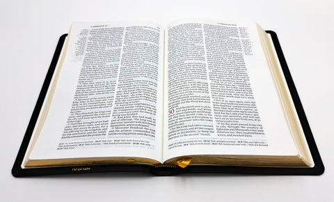 Cambridge Bible: Topaz Reference Bible - Calf Split Leather